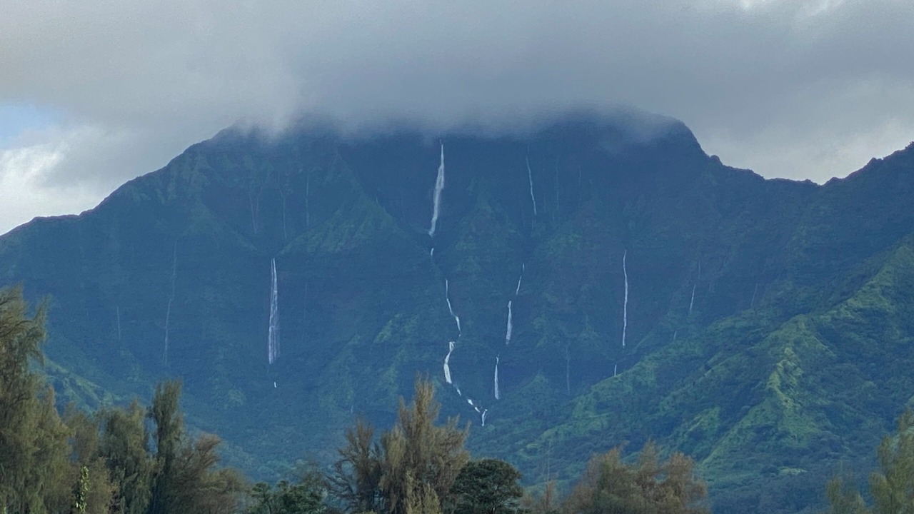 Photo of Others in Princeville