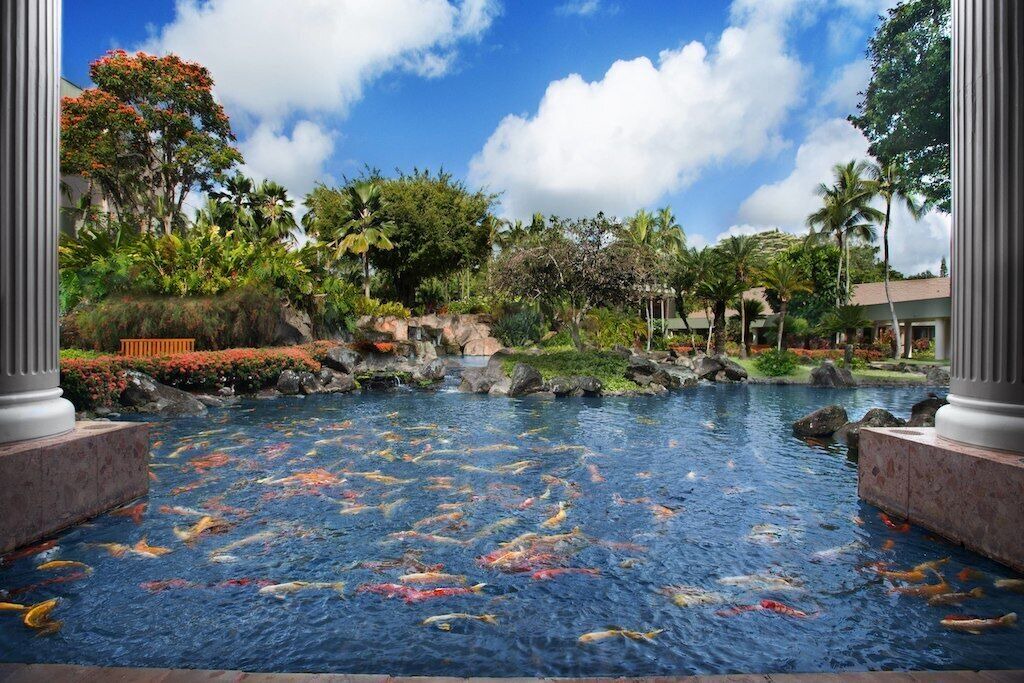 Photo of Others in Lihue
