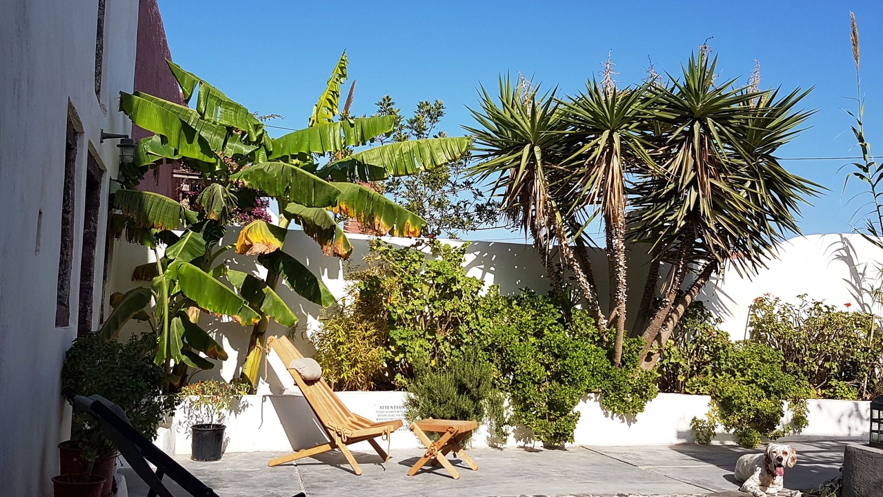 Photo of Outdoor in Finikia