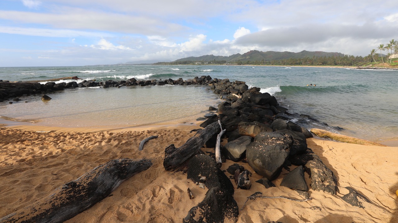 Photo of Others in Wailua