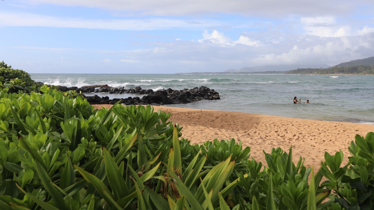 Photo of Others in Wailua