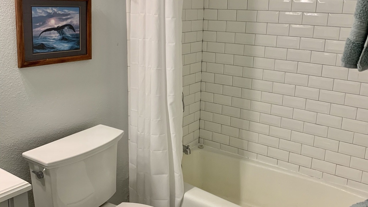 Photo of Bathroom in Kilauea