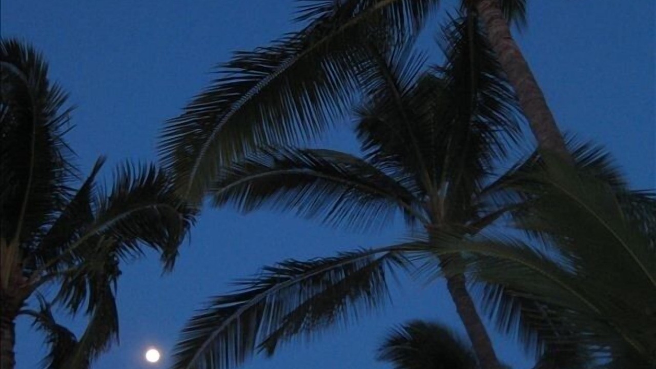 Photo of Others in Makaha