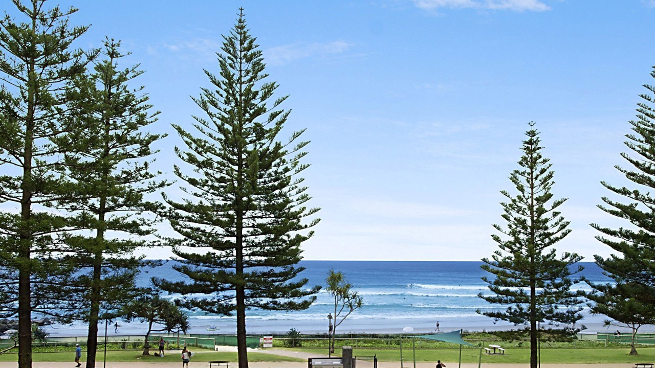 Photo of Others in Coolangatta