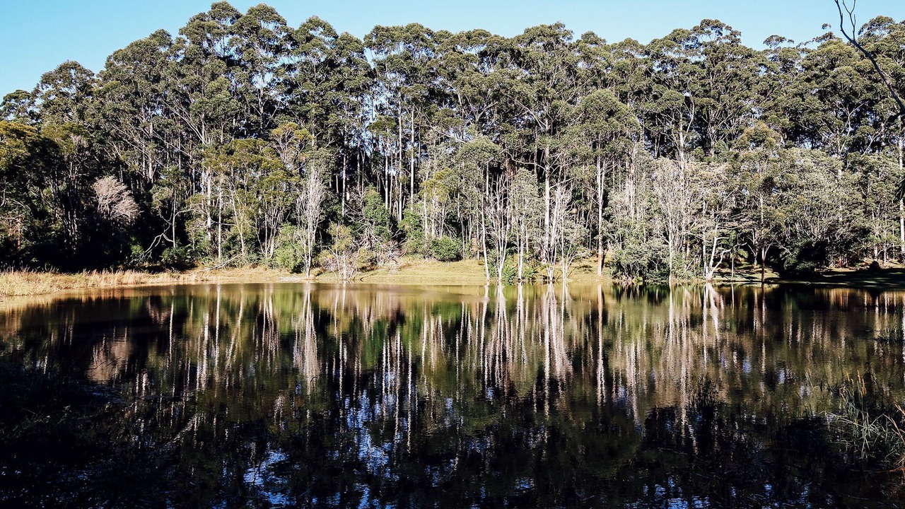 Photo of Outdoor in Whian Whian