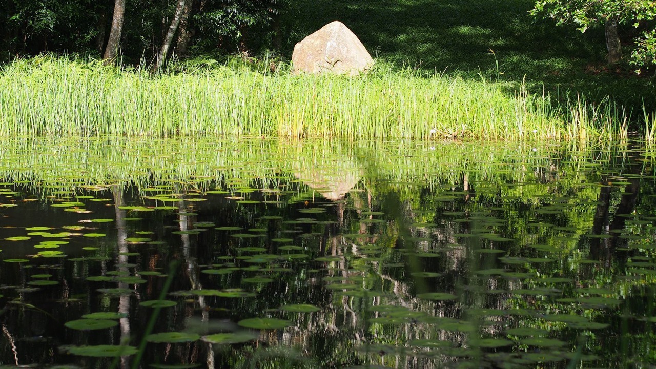 Photo of Outdoor in Whian Whian
