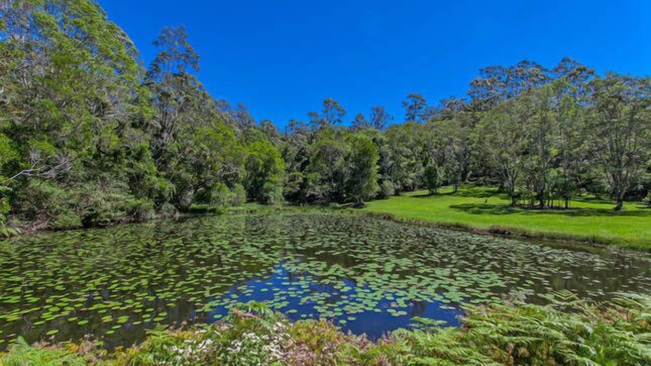 Photo of Outdoor in Whian Whian