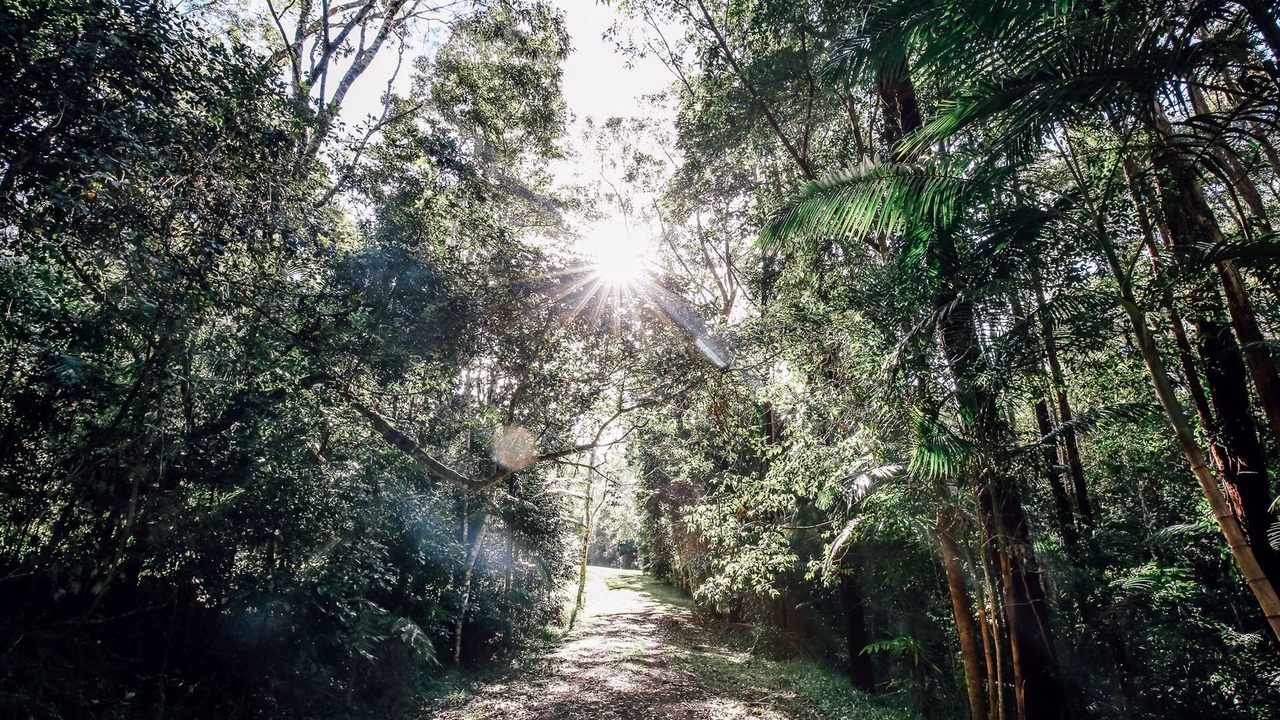 Photo of Outdoor in Whian Whian