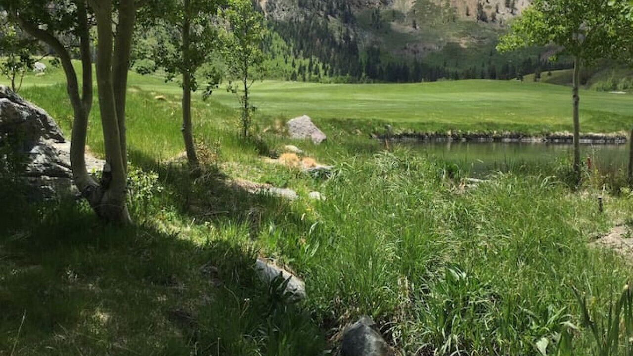 Photo of Others in Mammoth Lakes