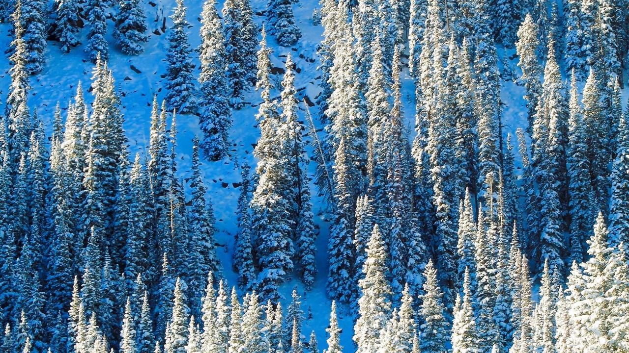 Photo of Others in Winter Park