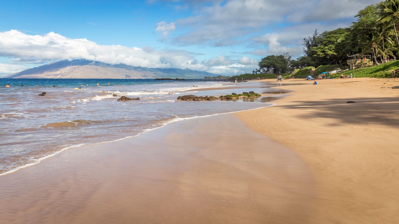 Photo of Others in Kihei