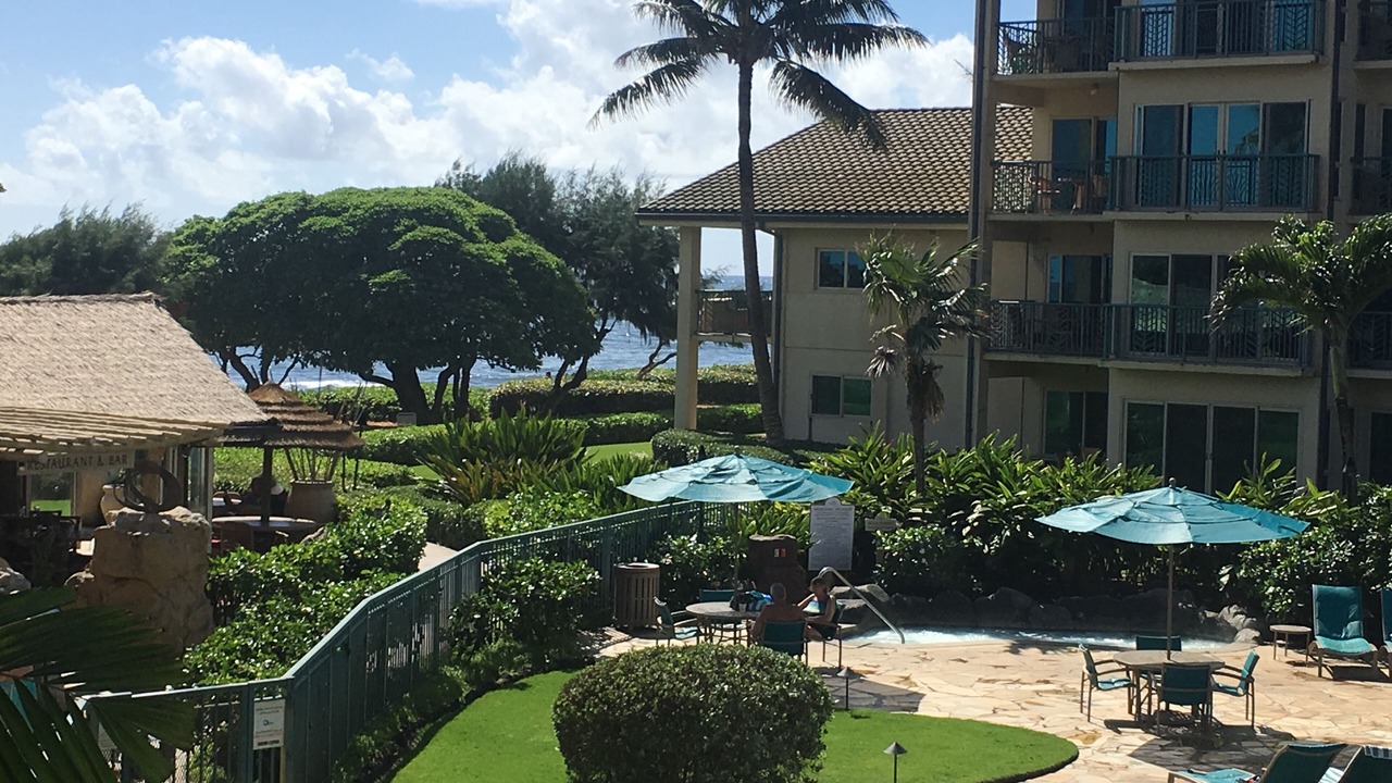 Photo of Outdoor in Wailua
