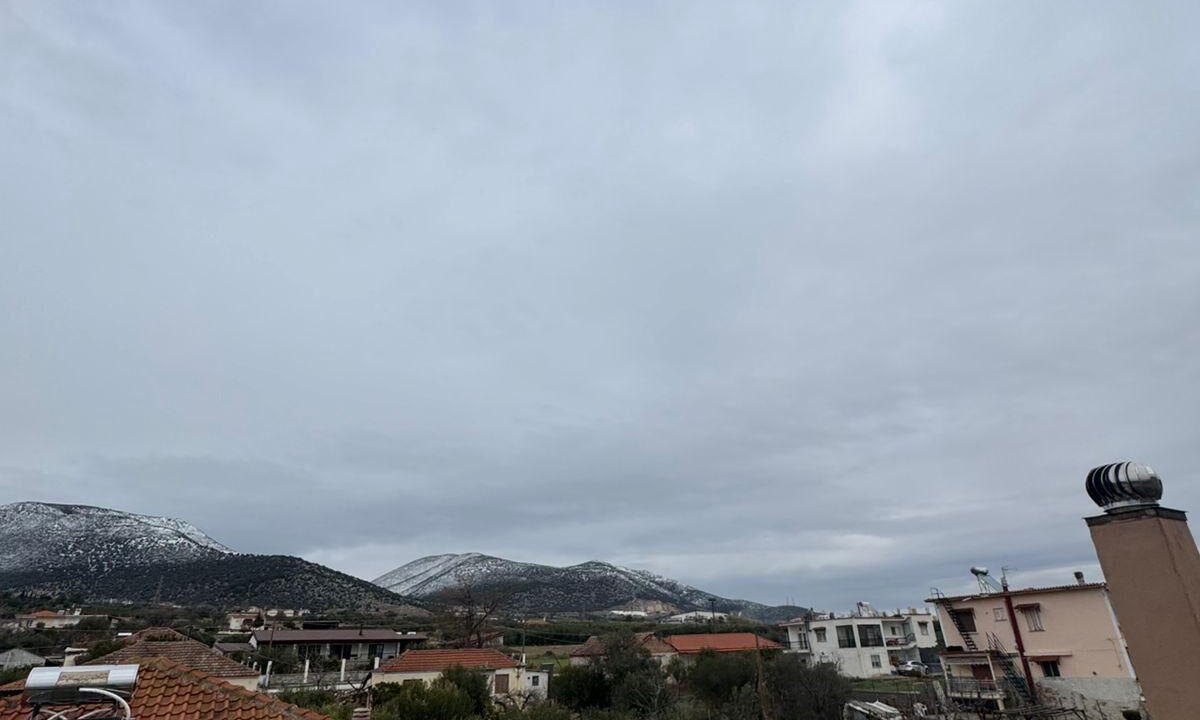 Photo of Others in Nestos