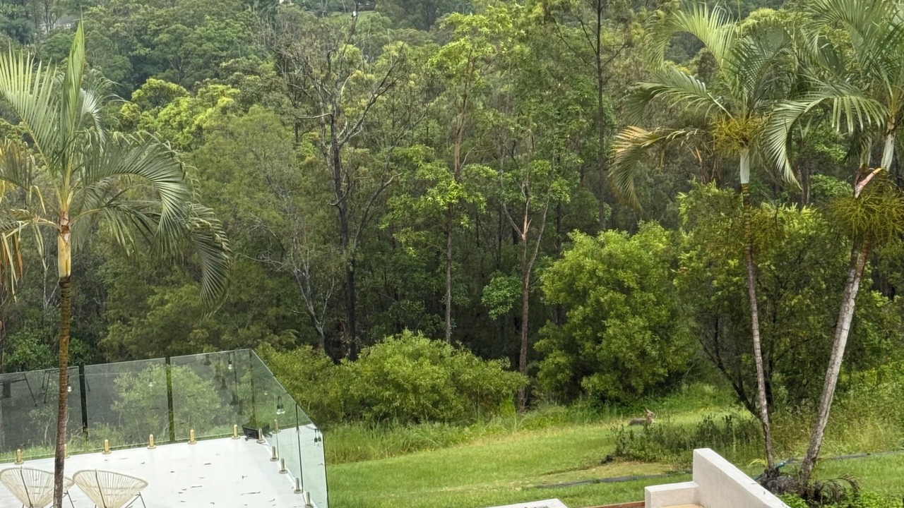 Photo of Outdoor in Bonogin