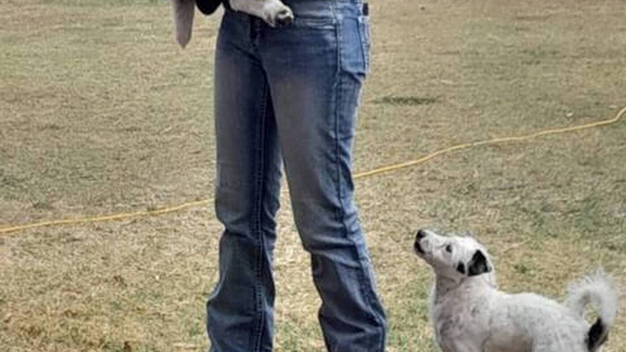 Photo of Others in Silverwood