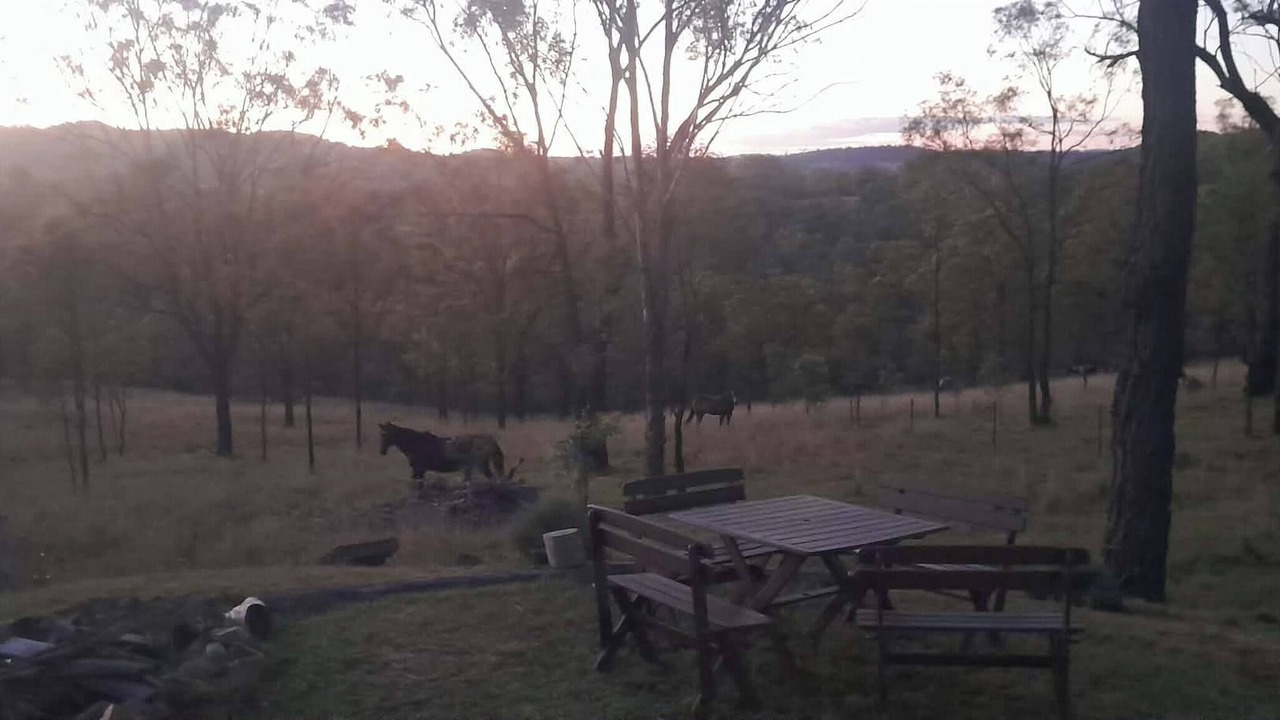 Photo of Outdoor in Silverwood