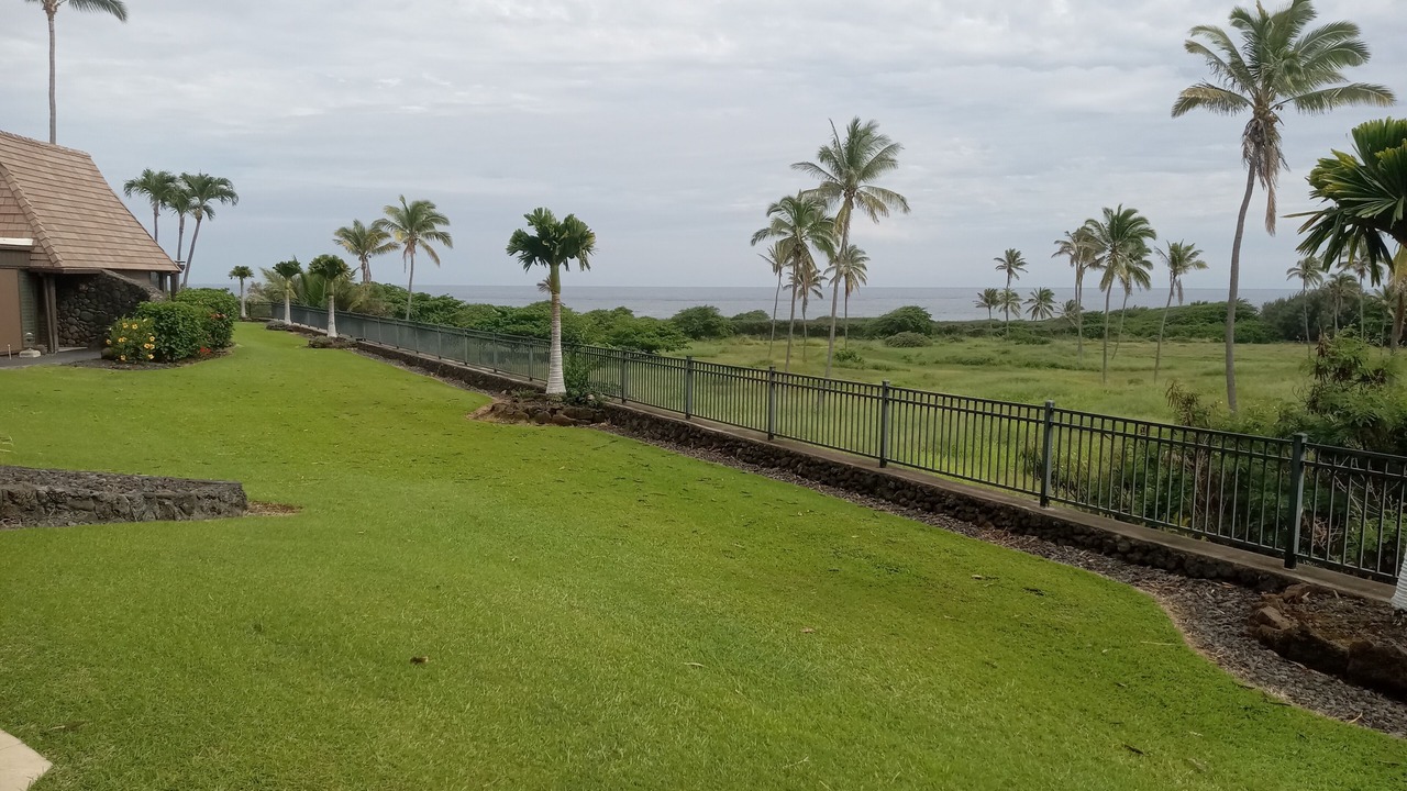 Photo of Outdoor in Punaluu