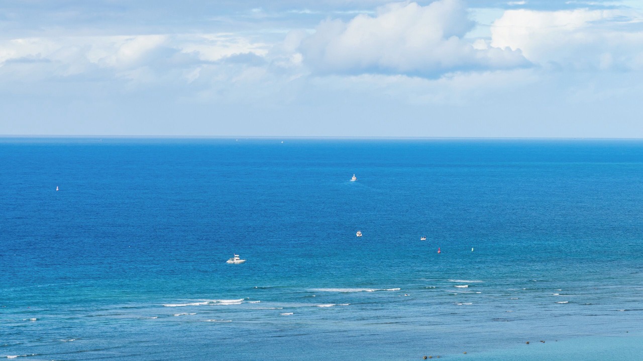 Photo of Others in Ala Moana