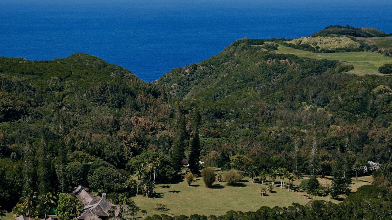 Photo of Others in Kaunakakai