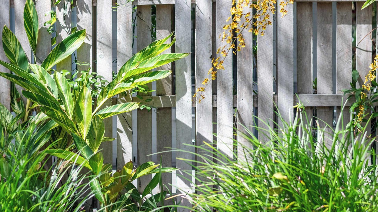 Photo of Outdoor in Byron Bay