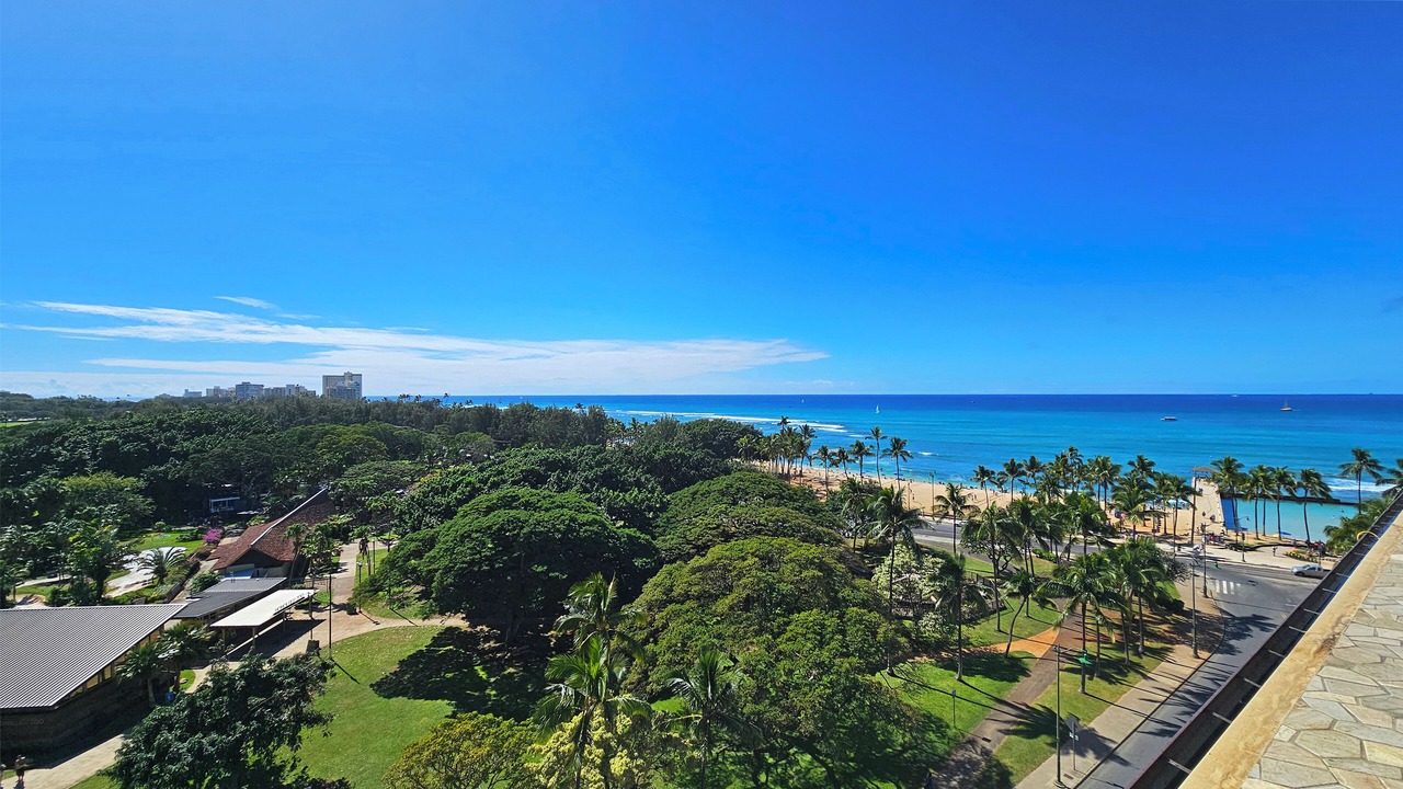 Photo of Others in Waikiki