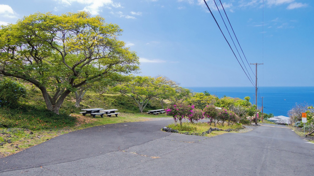 Photo of Others in Opihihale