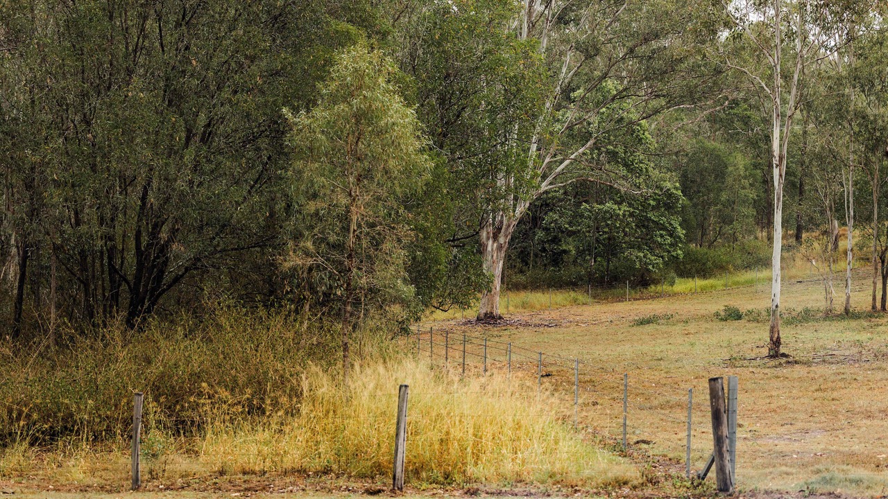Photo of Others in Mundoolun