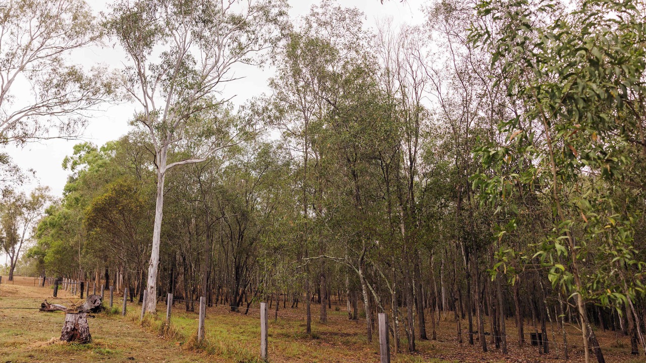 Photo of Others in Mundoolun