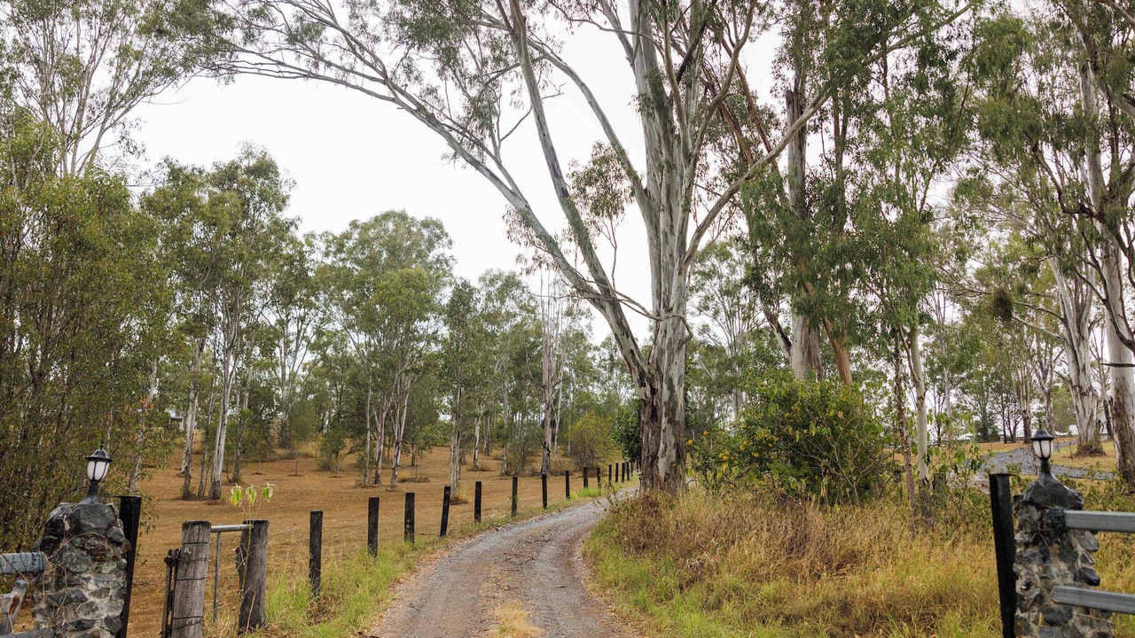 Photo of Others in Mundoolun
