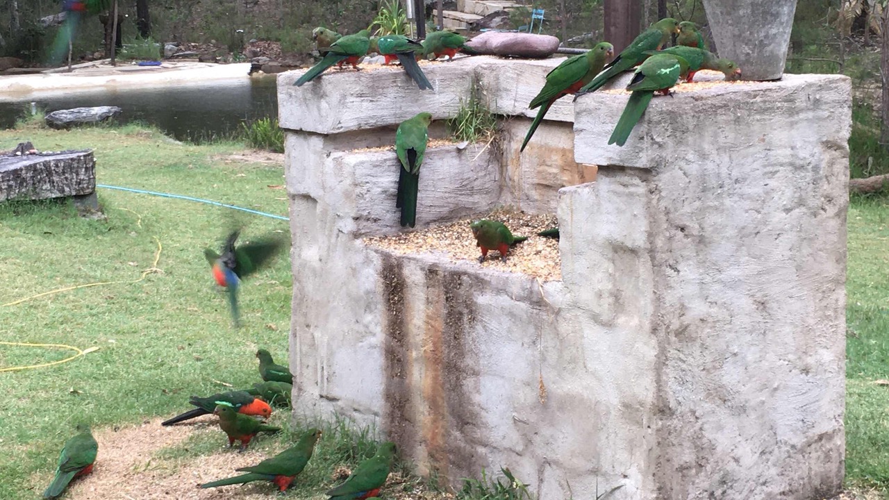 Photo of Outdoor in Gurranang