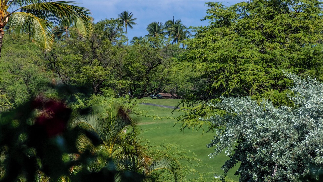 Photo of Others in Kamuela