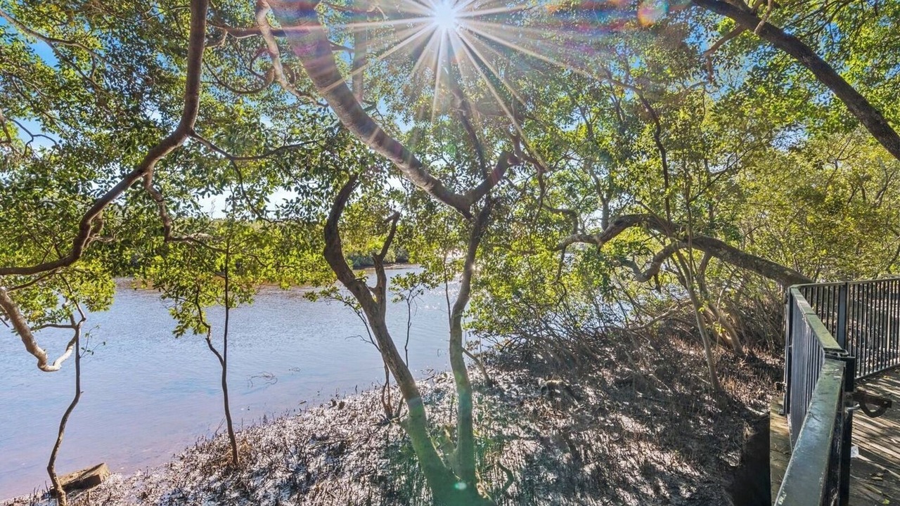 Photo of Outdoor in Hastings Point