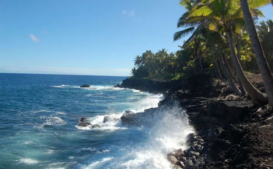 Photo of Others in Kapoho