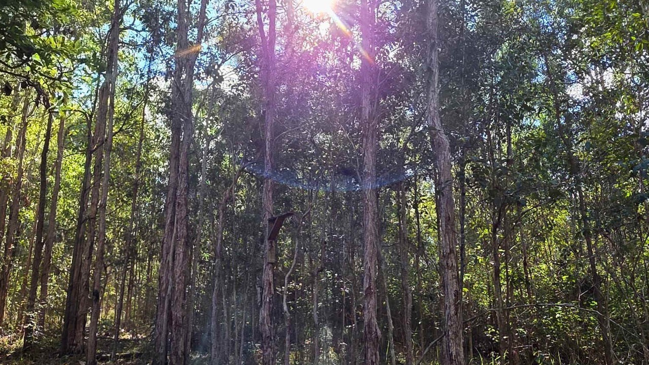 Photo of Others in Tamborine