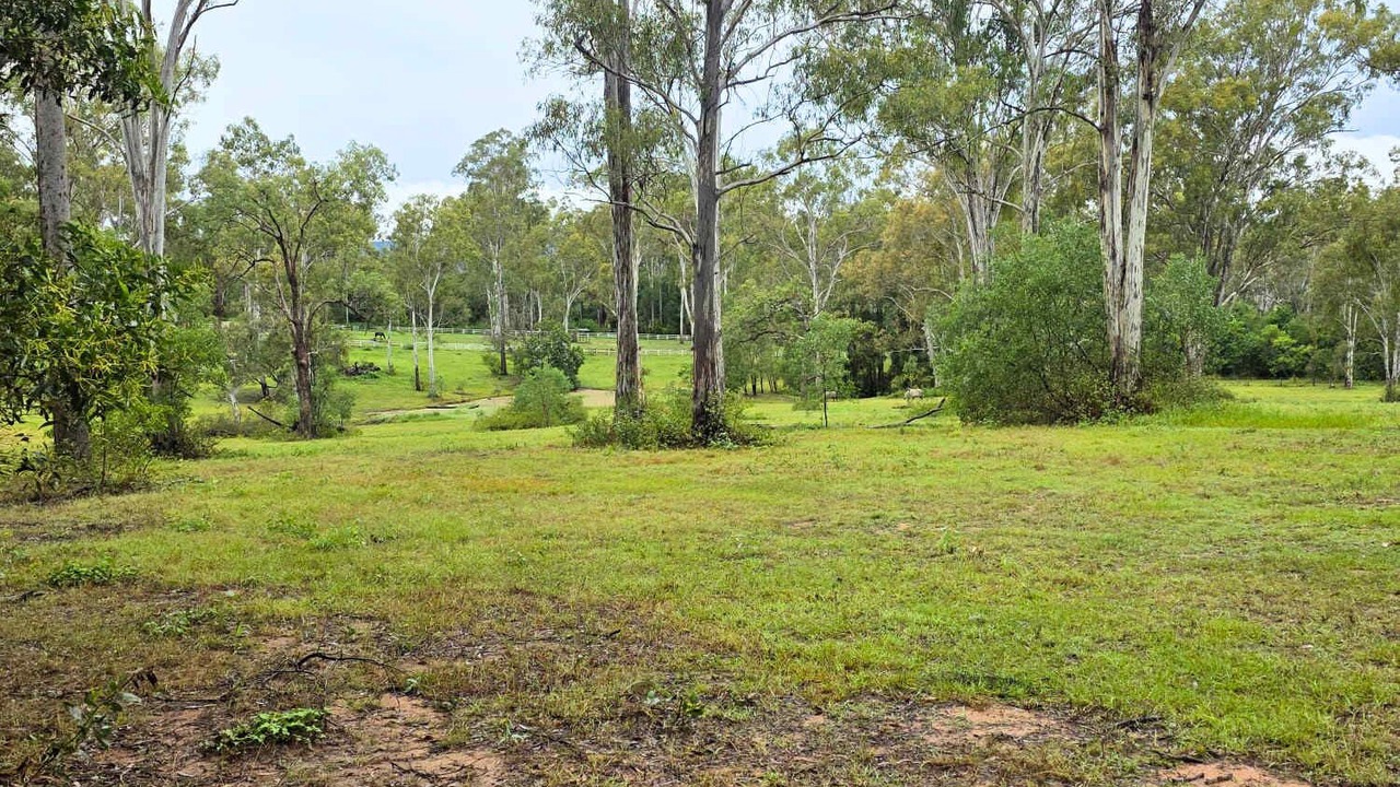 Photo of Others in Tamborine