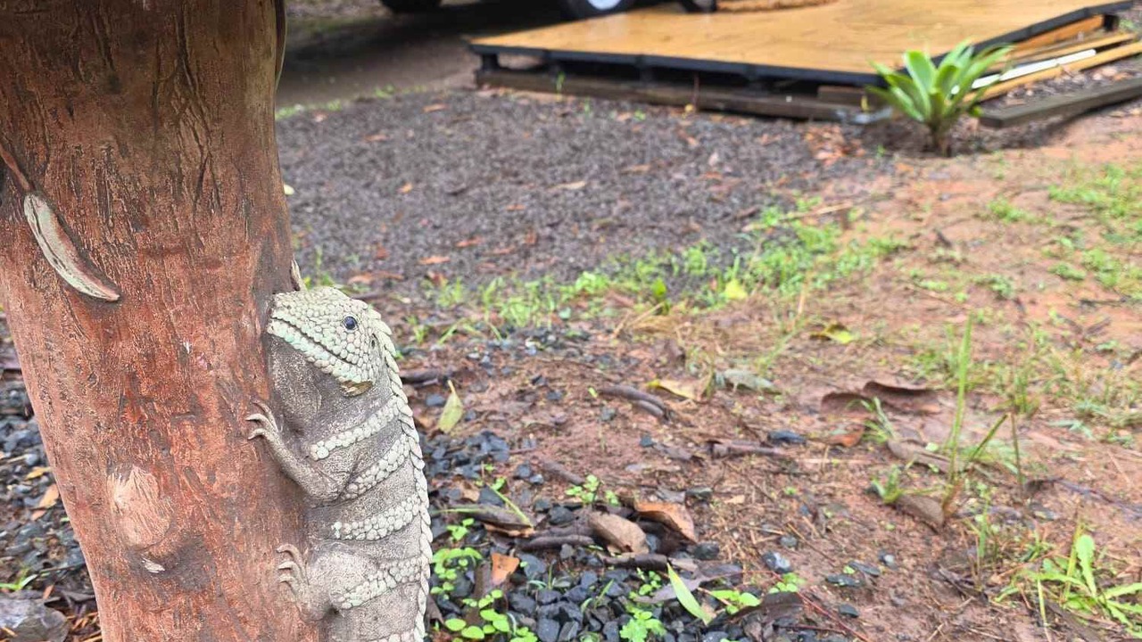 Photo of Outdoor in Tamborine