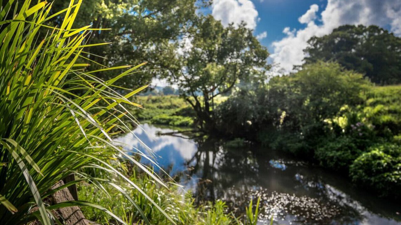 Photo of Outdoor in Bangalow