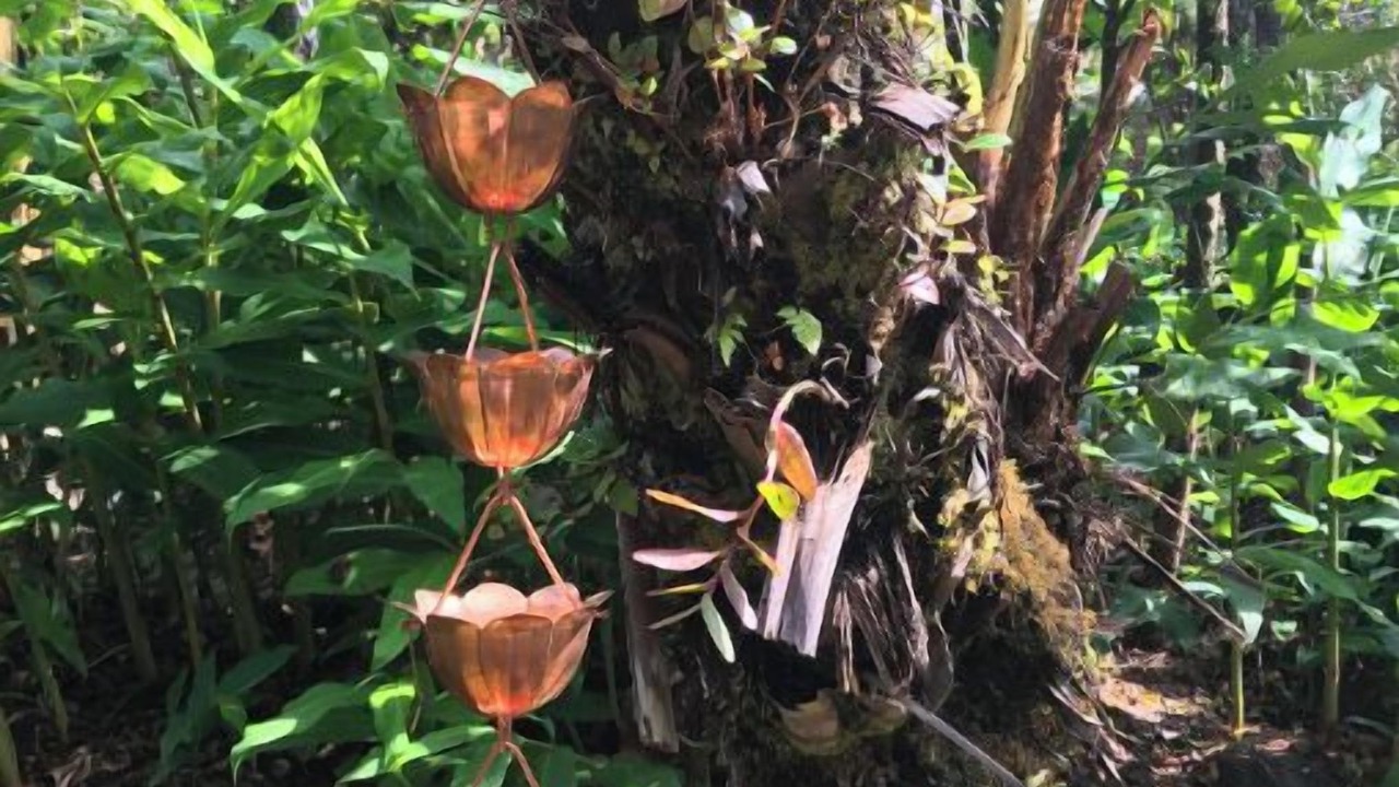 Photo of Outdoor in Volcano