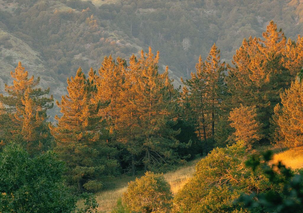 Photo of Outdoor in Julian