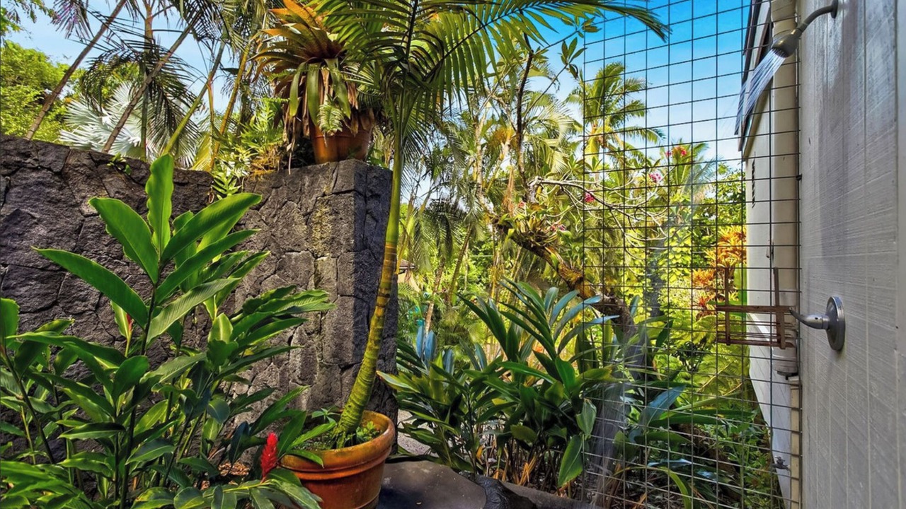 Photo of Outdoor in Kehena Beach Estates