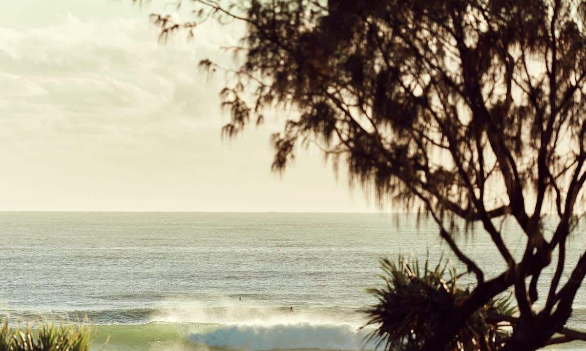 Photo of Others in Currumbin