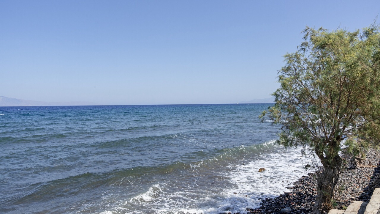 Photo of Others in Paloi