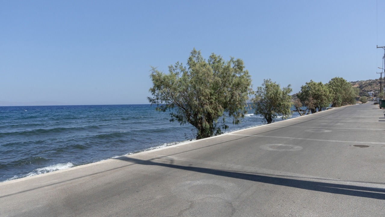 Photo of Others in Paloi