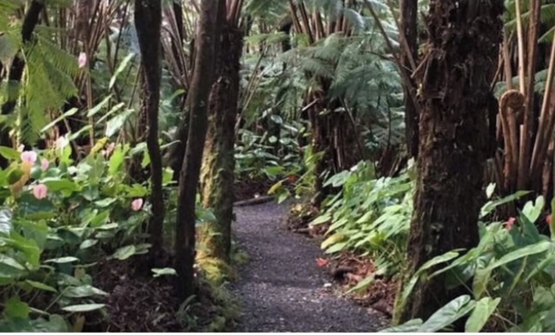Photo of Outdoor in Volcano