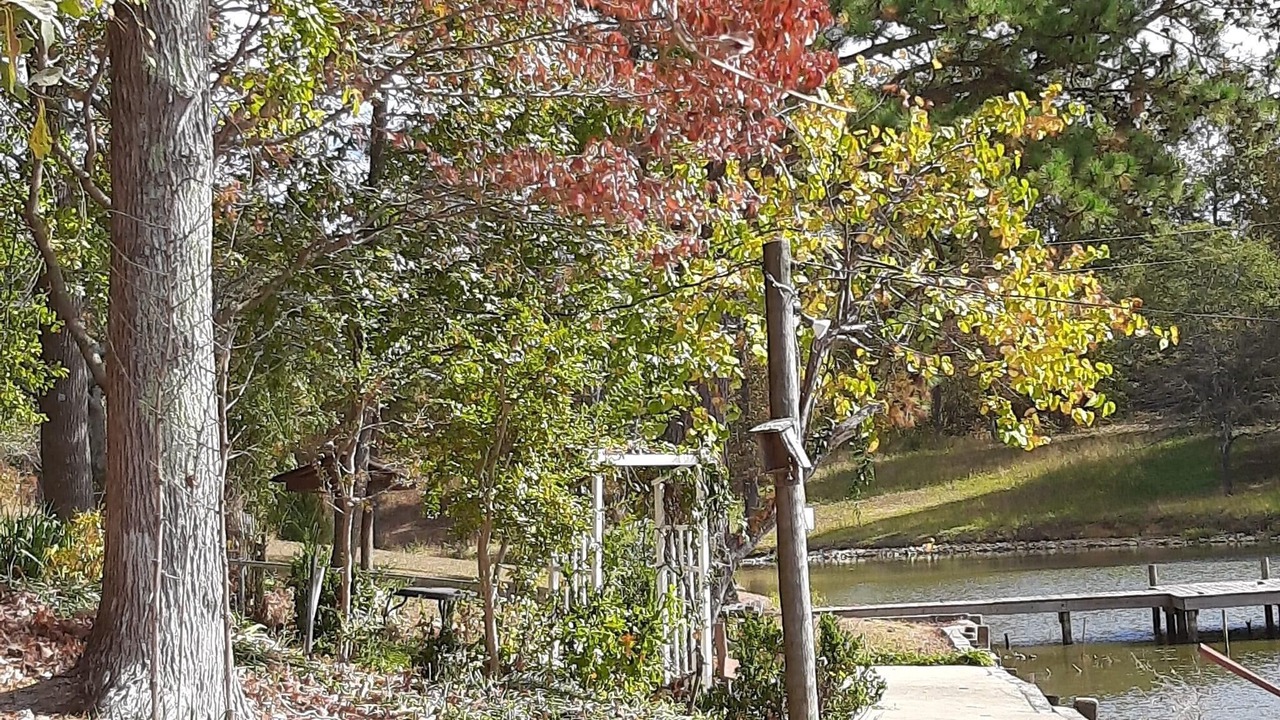 Photo of Outdoor in Centre