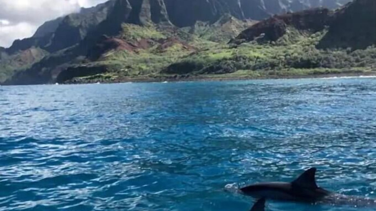 Photo of Others in Kaiulani