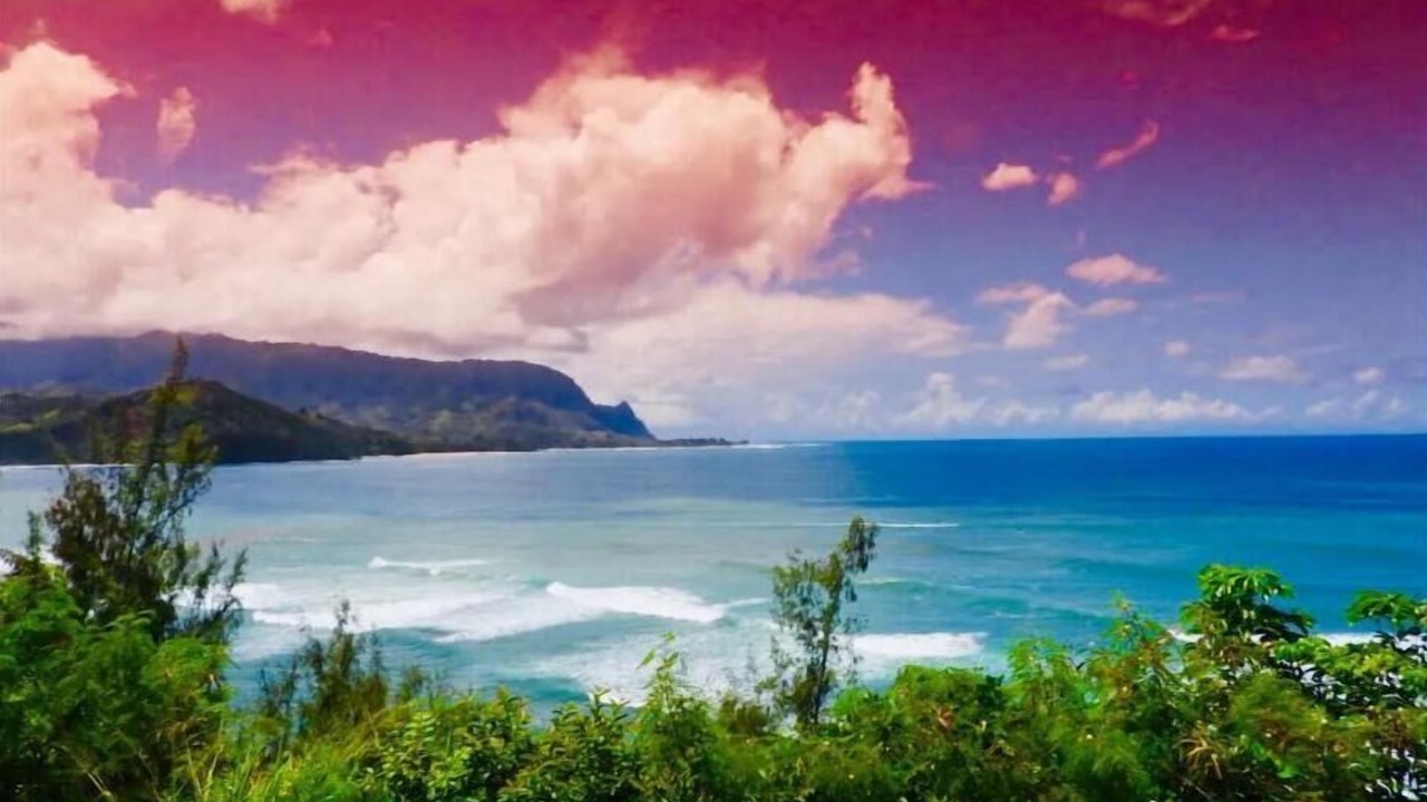 Photo of Others in Kaiulani