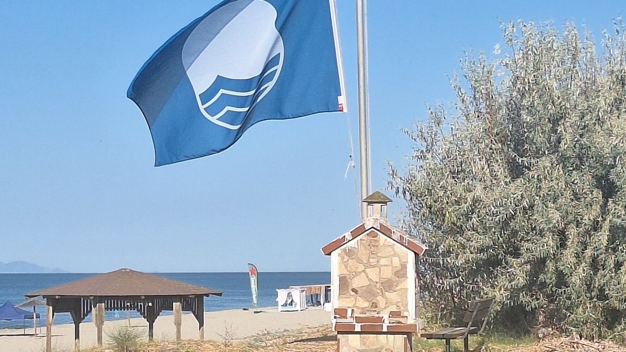 Photo of Others in Paralia Mesis
