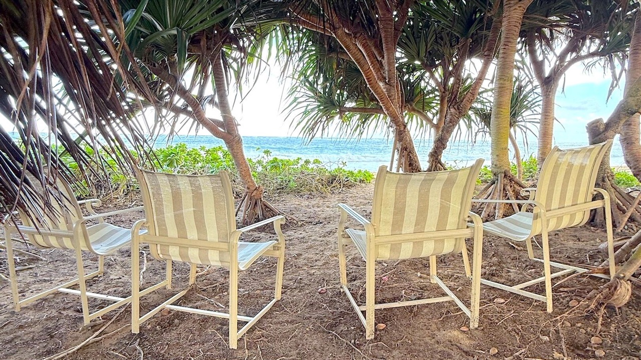 Photo of Outdoor in Laie