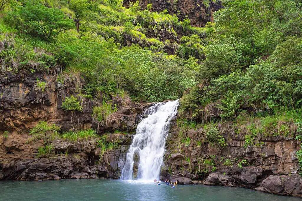 Photo of Others in Hauula